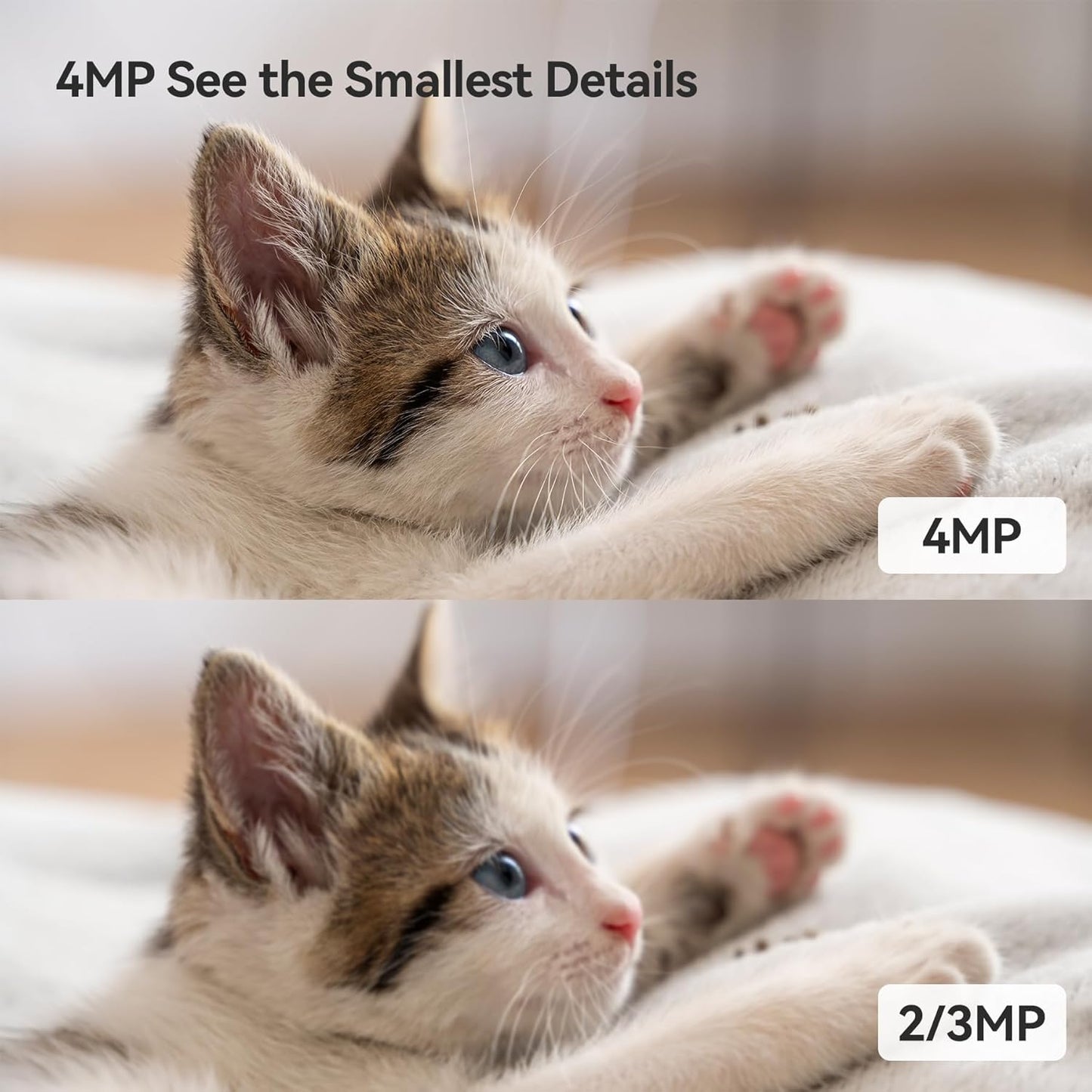 mou 4MP 2.5K QHD Image Smart CCTV Security WiFi Camera for Home, 360° Coverage, AI Human Detection, Siren Alarm, Night Vision 10M, 2-Way Talk, Supports 256GB SD Card, WiFi & Ethernet Connection